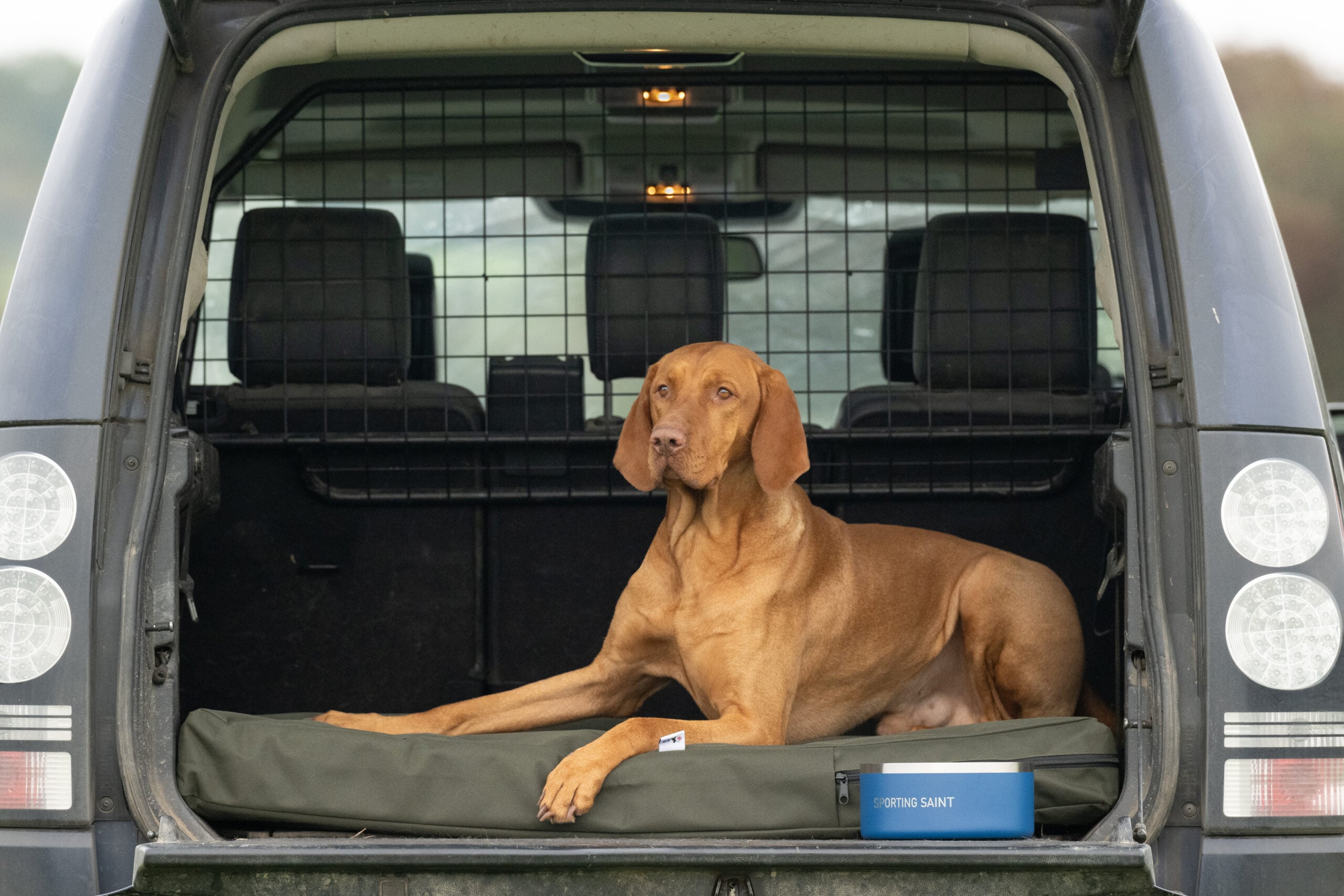 The Winslow Dog Bed